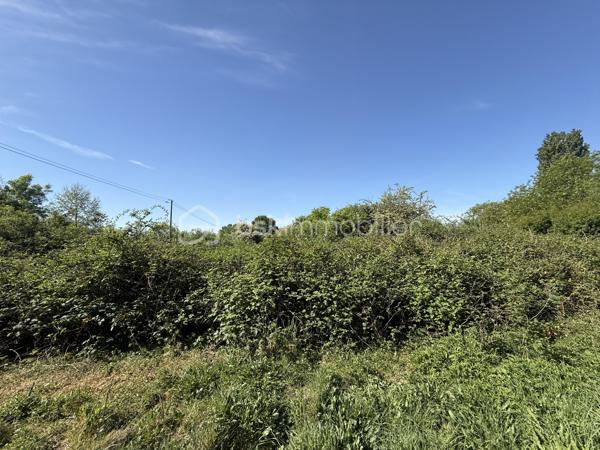 OFFRE ACCEPTÉE 

Le Mans – Grande parcelle non constructible de 10 138 m²

À découvrir au Mans, cette vaste parcelle cadastrée RX142 offrant une surface exceptionnelle de 10 138 m².

Actuellement laissée à l’état naturel, elle est recouverte d’herbe et de végétation spontanée. Une remise en état et un débroussaillage seront à prévoir afin de profiter de son potentiel.

Située à proximité des transports en commun ( T3 et bus )  et d’autres terrains de loisirs, de parcelles plus petites, ce terrain représente une belle opportunité pour différents projets. Il peut notamment convenir à un acquéreur souhaitant créer plusieurs parcelles destinées à des usages de loisirs ou de potager, avec la possibilité de les valoriser par une revente lot par lot.

Il peut également être parfait pour un usage privé, pour profiter d’un grand espace de nature aux portes de la ville.

À noter :
	•	Parcelle non raccordée à l’eau
	•	Parcelle non raccordée à l’électricité ( plusieurs terrains autours sont raccordés ) 
	•	Zone non constructible

Pour plus d’informations ou organiser une visite, merci de me contacter.