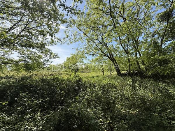 OFFRE ACCEPTÉE 

Le Mans – Grande parcelle non constructible de 10 138 m²

À découvrir au Mans, cette vaste parcelle cadastrée RX142 offrant une surface exceptionnelle de 10 138 m².

Actuellement laissée à l’état naturel, elle est recouverte d’herbe et de végétation spontanée. Une remise en état et un débroussaillage seront à prévoir afin de profiter de son potentiel.

Située à proximité des transports en commun ( T3 et bus )  et d’autres terrains de loisirs, de parcelles plus petites, ce terrain représente une belle opportunité pour différents projets. Il peut notamment convenir à un acquéreur souhaitant créer plusieurs parcelles destinées à des usages de loisirs ou de potager, avec la possibilité de les valoriser par une revente lot par lot.

Il peut également être parfait pour un usage privé, pour profiter d’un grand espace de nature aux portes de la ville.

À noter :
	•	Parcelle non raccordée à l’eau
	•	Parcelle non raccordée à l’électricité ( plusieurs terrains autours sont raccordés ) 
	•	Zone non constructible

Pour plus d’informations ou organiser une visite, merci de me contacter.