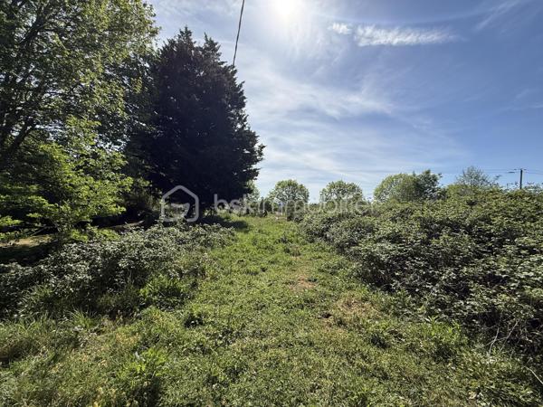 OFFRE ACCEPTÉE 

Le Mans – Grande parcelle non constructible de 10 138 m²

À découvrir au Mans, cette vaste parcelle cadastrée RX142 offrant une surface exceptionnelle de 10 138 m².

Actuellement laissée à l’état naturel, elle est recouverte d’herbe et de végétation spontanée. Une remise en état et un débroussaillage seront à prévoir afin de profiter de son potentiel.

Située à proximité des transports en commun ( T3 et bus )  et d’autres terrains de loisirs, de parcelles plus petites, ce terrain représente une belle opportunité pour différents projets. Il peut notamment convenir à un acquéreur souhaitant créer plusieurs parcelles destinées à des usages de loisirs ou de potager, avec la possibilité de les valoriser par une revente lot par lot.

Il peut également être parfait pour un usage privé, pour profiter d’un grand espace de nature aux portes de la ville.

À noter :
	•	Parcelle non raccordée à l’eau
	•	Parcelle non raccordée à l’électricité ( plusieurs terrains autours sont raccordés ) 
	•	Zone non constructible

Pour plus d’informations ou organiser une visite, merci de me contacter.