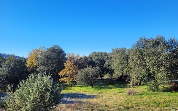 Terrain à vendre    Vinon-sur-Verdon