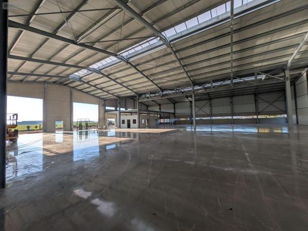 Hangar à louer à Wormhout dans le Nord (59470), ref : W4017