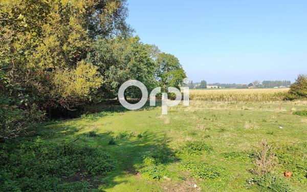 Maison à vendre    8 pièces •  Linselles