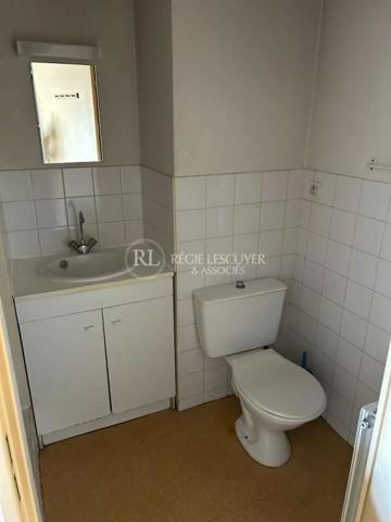 Appartement à louer à Lyon (69007)