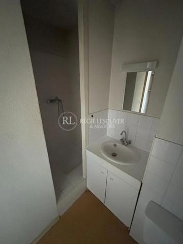 Appartement à louer à Lyon (69007)