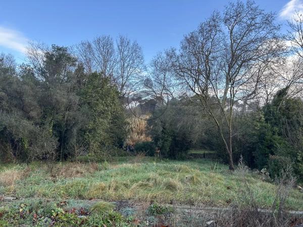 Vente Terrain 509 m2 à Assas