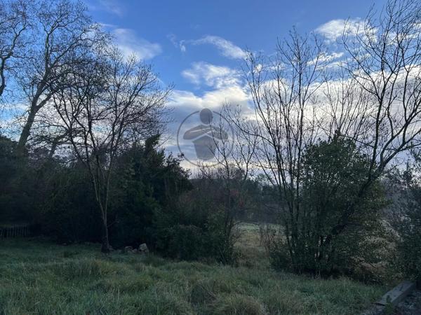 Vente Terrain 509 m2 à Assas