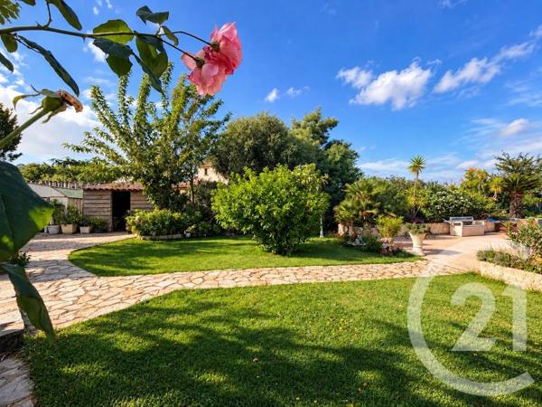 Maison à vendre  8 pièces - 200,62 m 2   CALENZANA  - 202