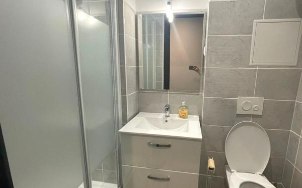 Appartement à louer    2 pièces • 44,63 m2 Saint-Étienne