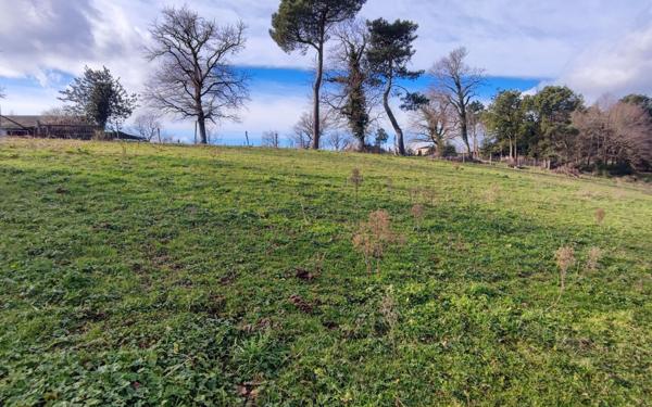 Terrain à vendre    Pont-de-Larn