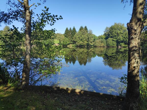 Lacs à vendre à Saint-Auvent (87310) - Haute-Vienne