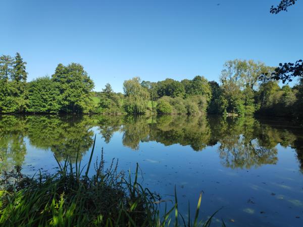 Lacs à vendre à Saint-Auvent (87310) - Haute-Vienne
