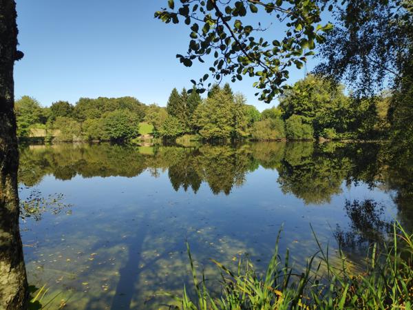 Lacs à vendre à Saint-Auvent (87310) - Haute-Vienne