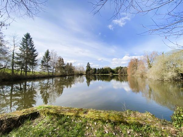 Lacs à vendre à Saint-Auvent (87310) - Haute-Vienne