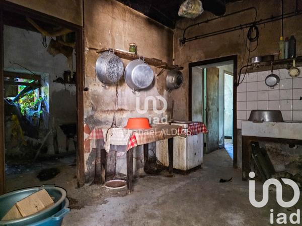 Maison à vendre 10 pièces 204 m² Montjaux