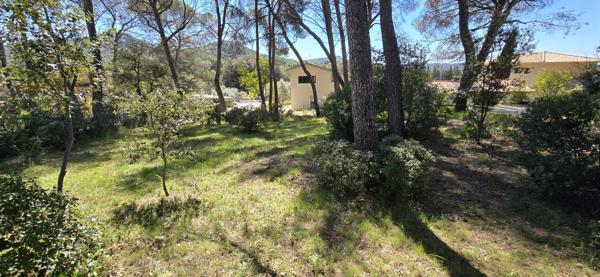 Ventabren (13122) Terrain arboré 1800m2 projet jusqu'à 360m2 habitables