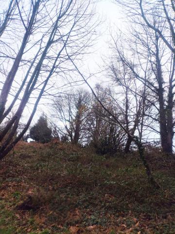 Ensembles de maisons + annexes + terrain