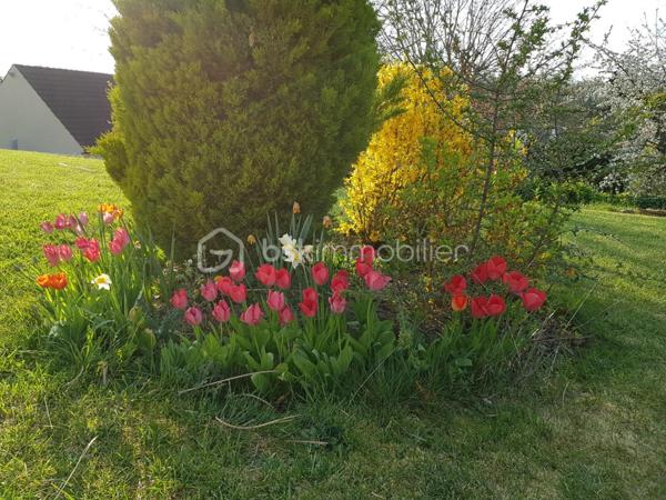 Maison traditionnelle de 152,22 m²