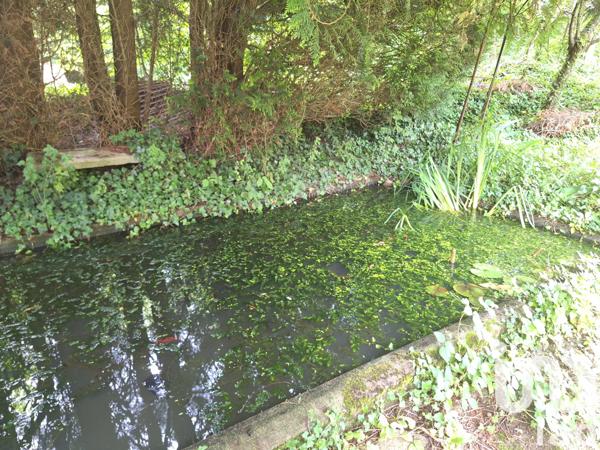 Maison à vendre 7 pièces 183 m² Neufchâtel-en-Bray