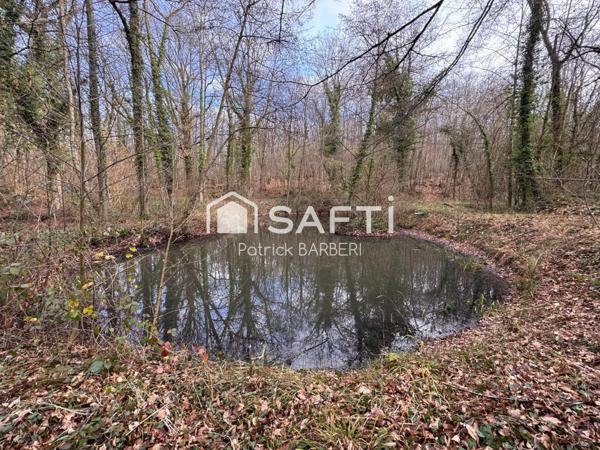 Rare sur le secteur et proche de Paris!