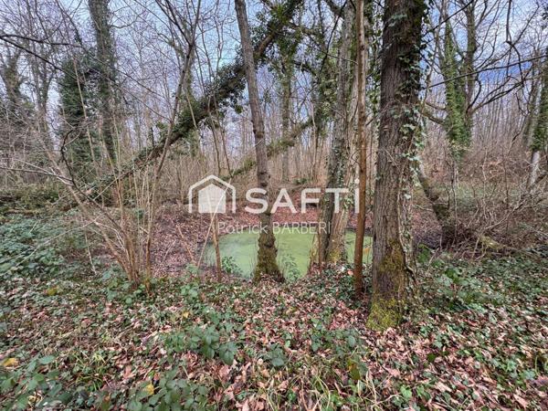 Rare sur le secteur et proche de Paris!