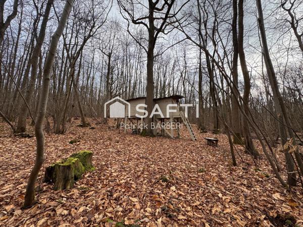 Rare sur le secteur et proche de Paris!