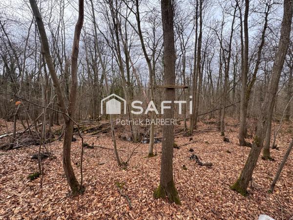 Rare sur le secteur et proche de Paris!