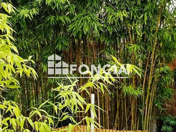 Location Maison 2 pièces 35.9 m² - 24 bis rue André Bollier Saint Maur Des Fosses 94100