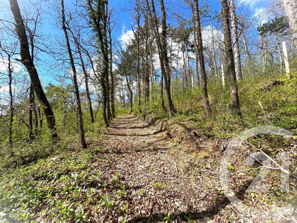 Maison à vendre  8 pièces - 187,20 m2 ETAMPES - 91