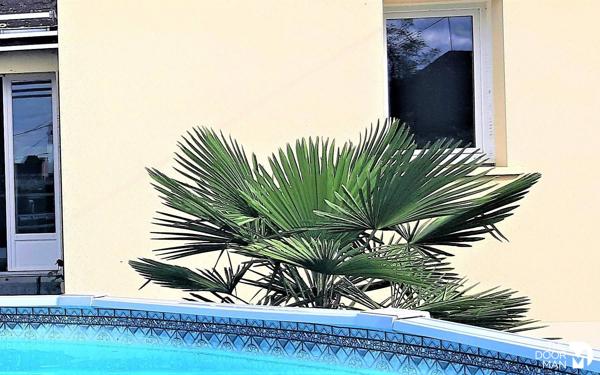 Maison - Vendu - 162 m² - MONTJEAN | The Door Man