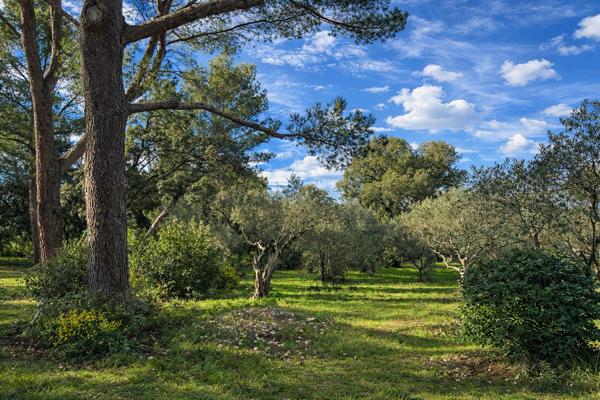 Terrain constructible de 2 900 m² ? Environnement provençal