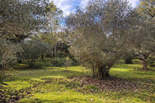 Terrain constructible de 2 900 m² ? Environnement provençal