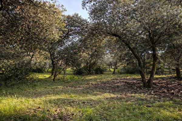 Terrain constructible de 2 900 m² ? Environnement provençal