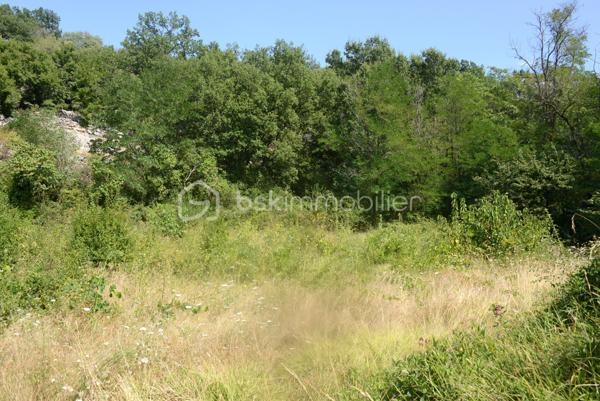 Terrain de 5 000 m²