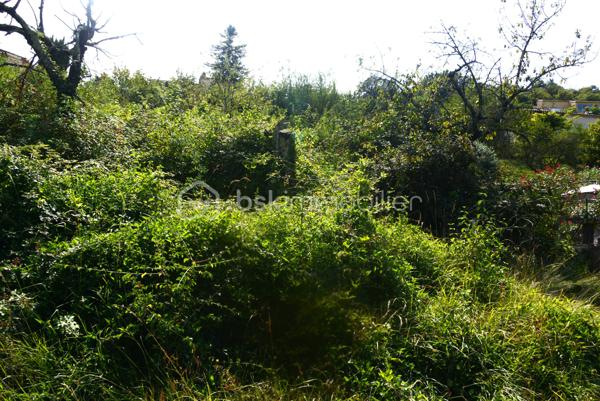 Terrain de 5 000 m²