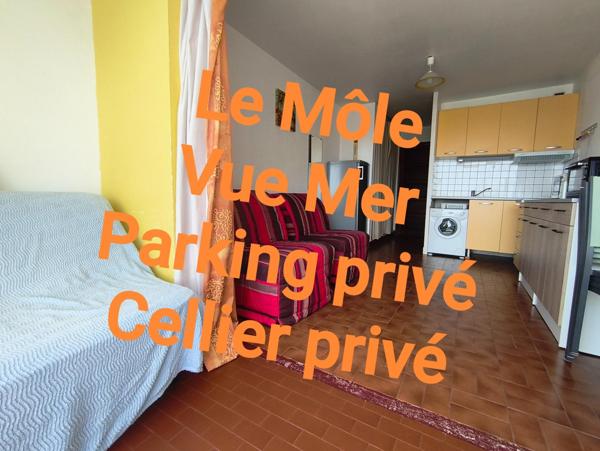 Studio très bon état - Parking et Cellier privatifs