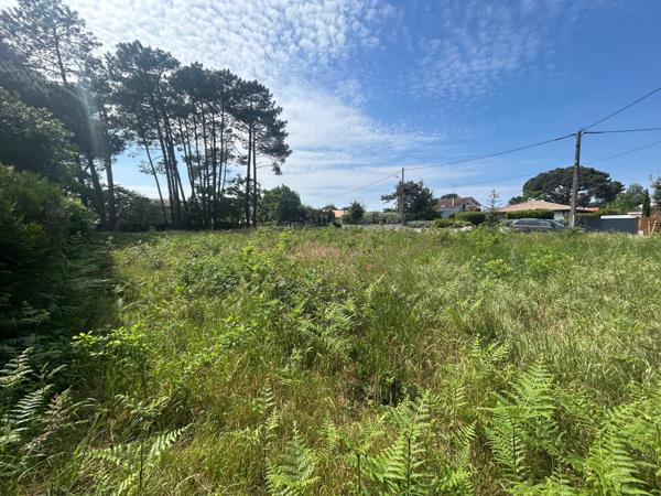 Terrain - 853 m²