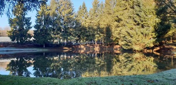 Vente Terrain 10109 m2 à Loupfougères