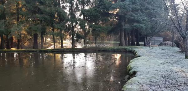 Vente Terrain 10109 m2 à Loupfougères