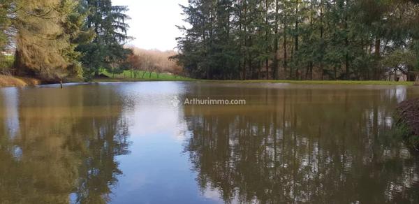 Vente Terrain 10109 m2 à Loupfougères