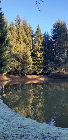 Vente Terrain 10109 m2 à Loupfougères