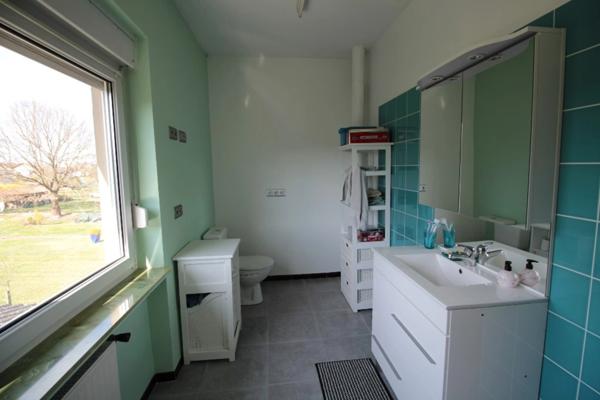 Dpt Moselle (57), à vendre PORCELETTE maison louée P6, 3 chambres, jardin