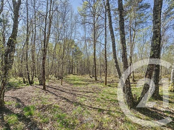 Maison à vendre  6 pièces - 204,30 m2 NANCAY - 18