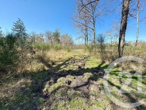 Maison à vendre  6 pièces - 204,30 m2 NANCAY - 18