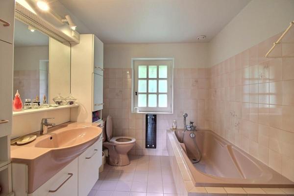 Maison en pierre début 20ème , dépendances, vue dégagée + terrain arboré 11 500 m² avec 1 puits - Vigeois (19)