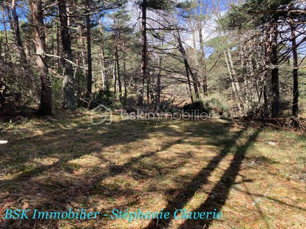 Terrain agricole de 10 100 m²