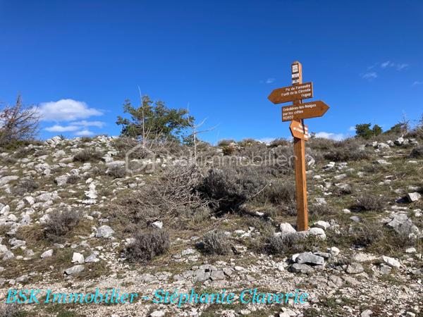 Terrain agricole de 10 100 m²