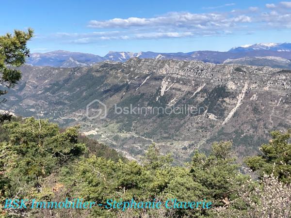 Terrain agricole de 10 100 m²