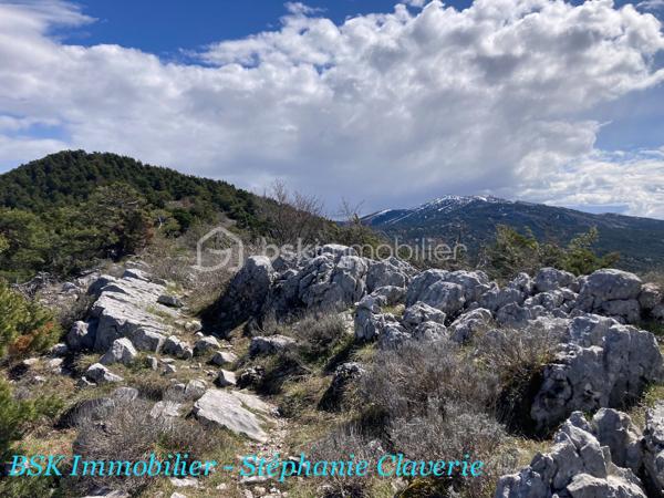 Terrain agricole de 10 100 m²