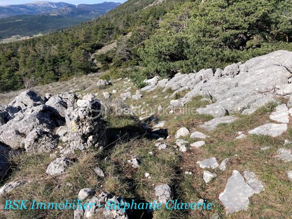 Terrain agricole de 10 100 m²