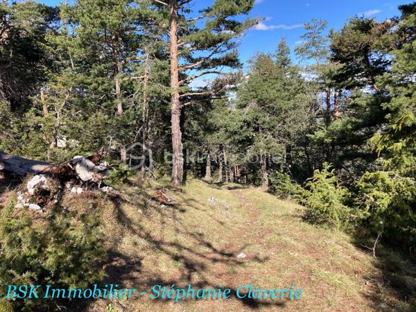 Terrain agricole de 10 100 m²